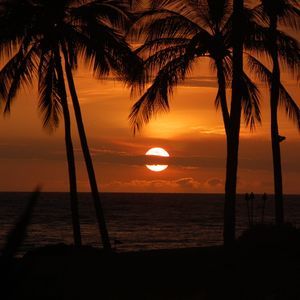 Meet your Posher, Dale